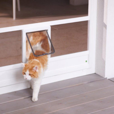 Insektenschutz für Terrassentür mit Katzenklappe von erfal
