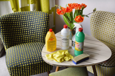 Reinigungsmittel zur Reinigung von Polstermöbeln