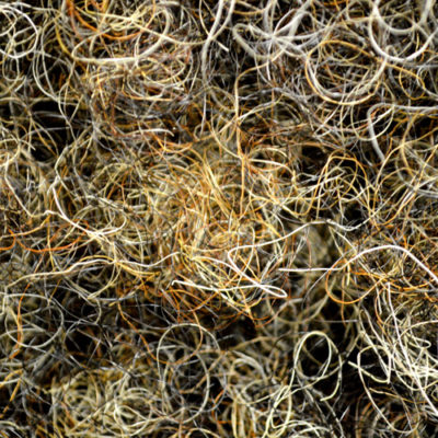 Aufgekämmtes Rosshaar für Polsterung